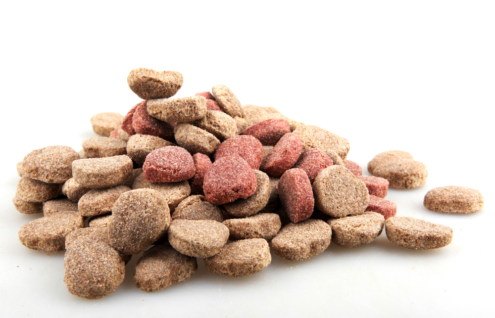 浅谈宠物食品 从基础认知到科学选择