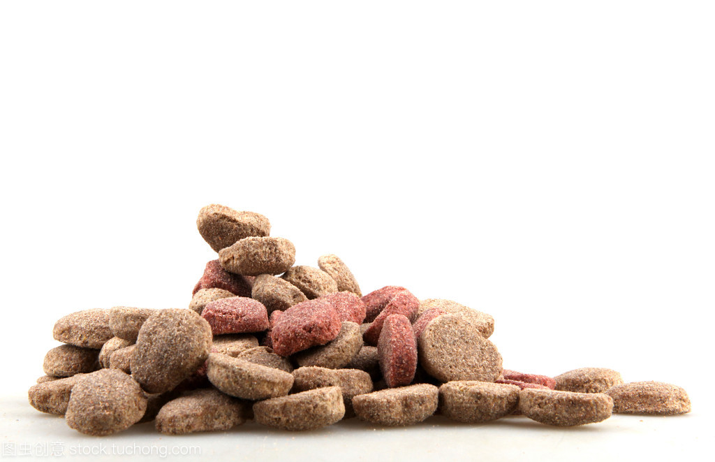 宠物食品 关爱伴侣的健康之选