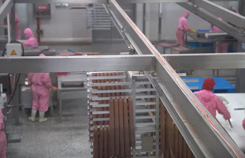 探访山东乖宝 我心目中的宠物食品