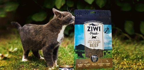 2021全价猫干粮品牌选购指南 巅峰、渴望等热门品牌深度解析
