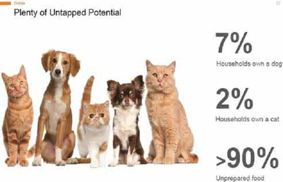 探索欧洲宠物市场 捷克宠物展揭示6.5亿只宠物的庞大蓝海