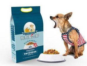 上海进口宠物食品全指南 必备证件与报关流程详解